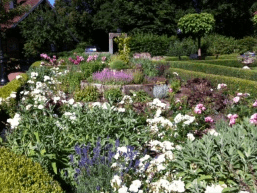Ein Garten voller Blumen und Pflanzen
