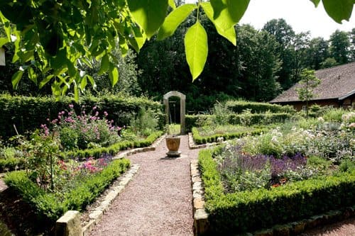 Ein Garten voller Blumen und Sträucher