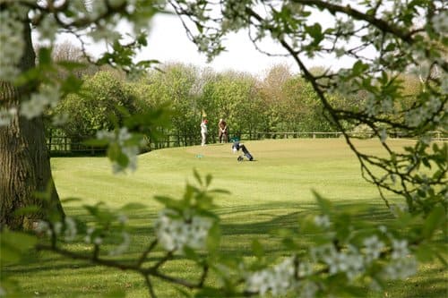 Eine Gruppe von Leuten spielt Golf auf einem üppigen grünen Feld.