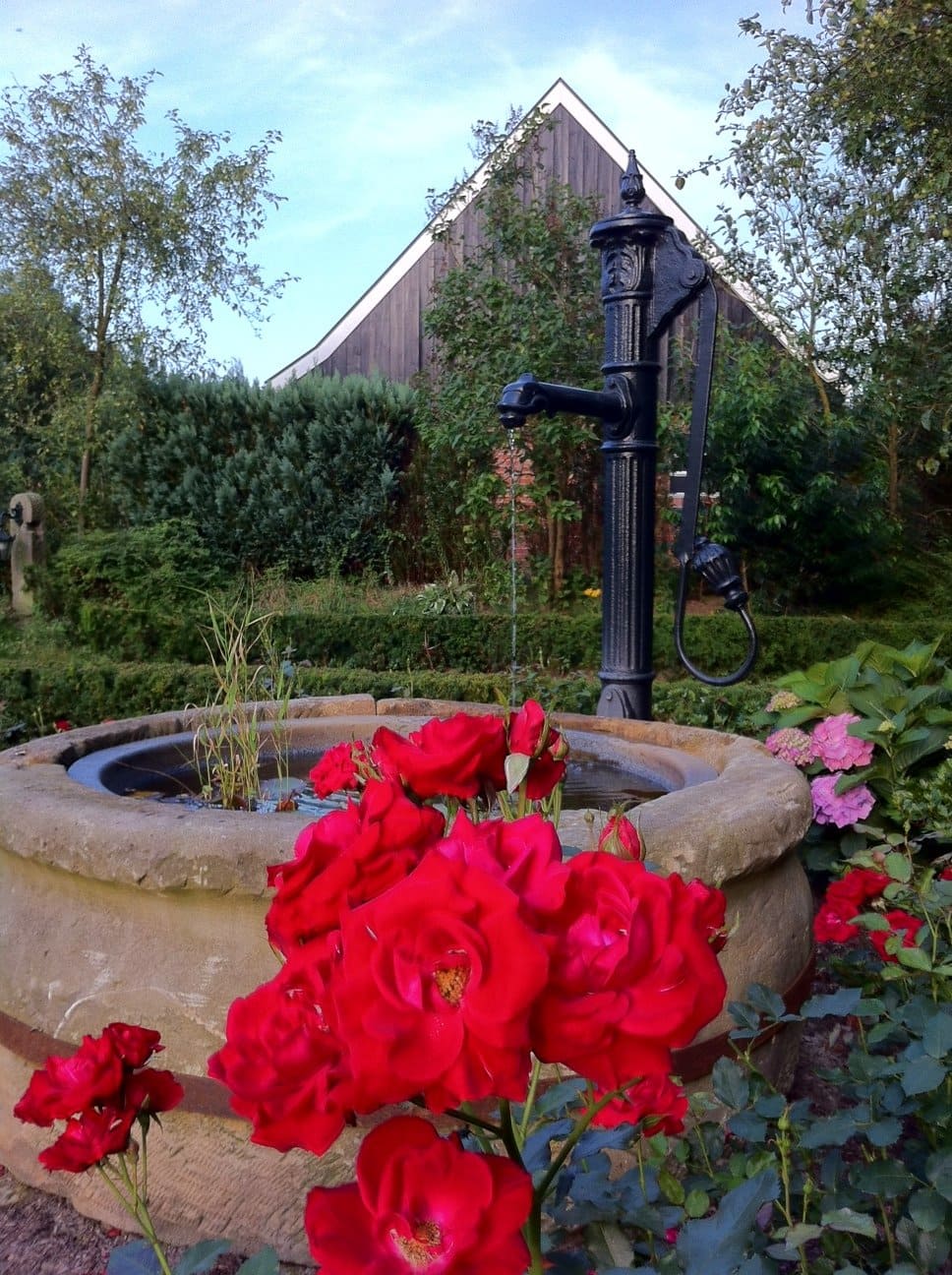 Ein Brunnen in einem Garten mit roten Rosen davor