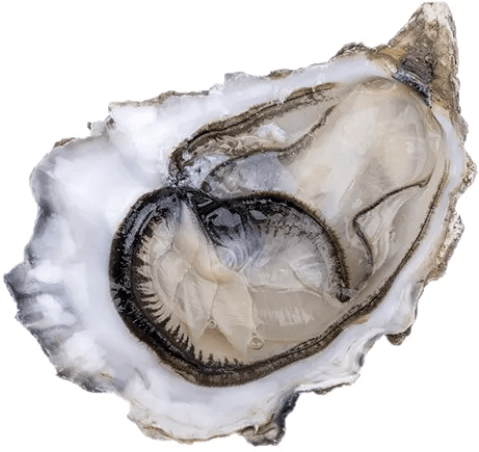 Oyster House