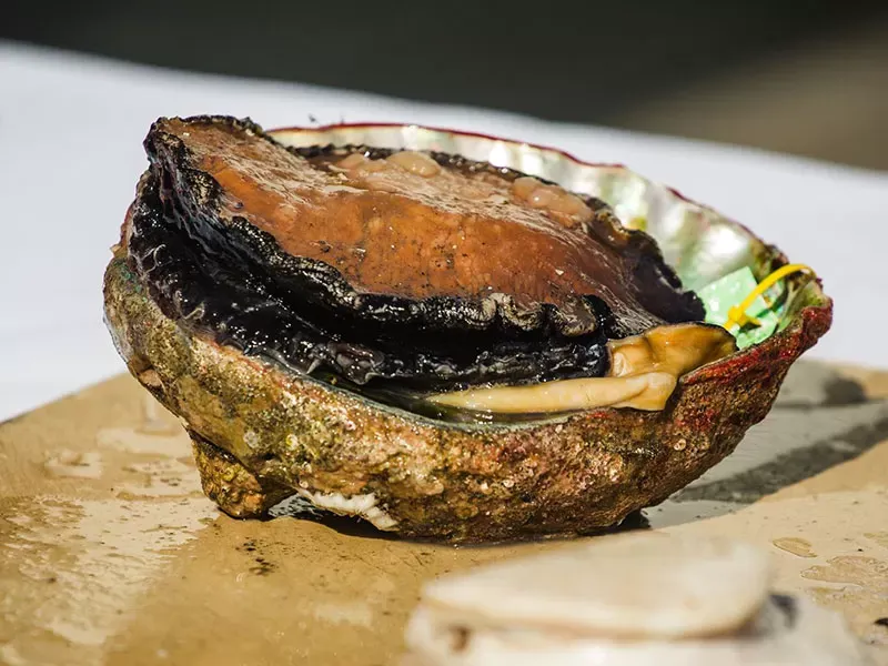 ostriche oyster house