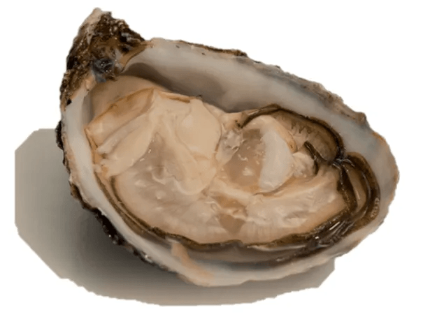 ostriche Poema