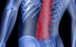 spinal-pain-therapy