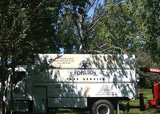Soil Inoculation — Tree Disease in Nashville, TN Soil Inoculation — Tree Disease in Nashville, TN