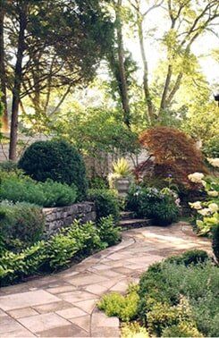 Soil Inoculation — Tree Disease in Nashville, TN