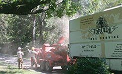 Wood Chipper — Tree Removal in Nashville, TN