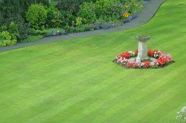garden lawn