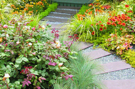 Plants being planted into a flowerbed