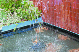 water-featurs_content_03_267_176