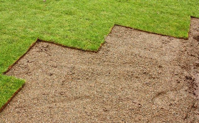 Freshly laid turf