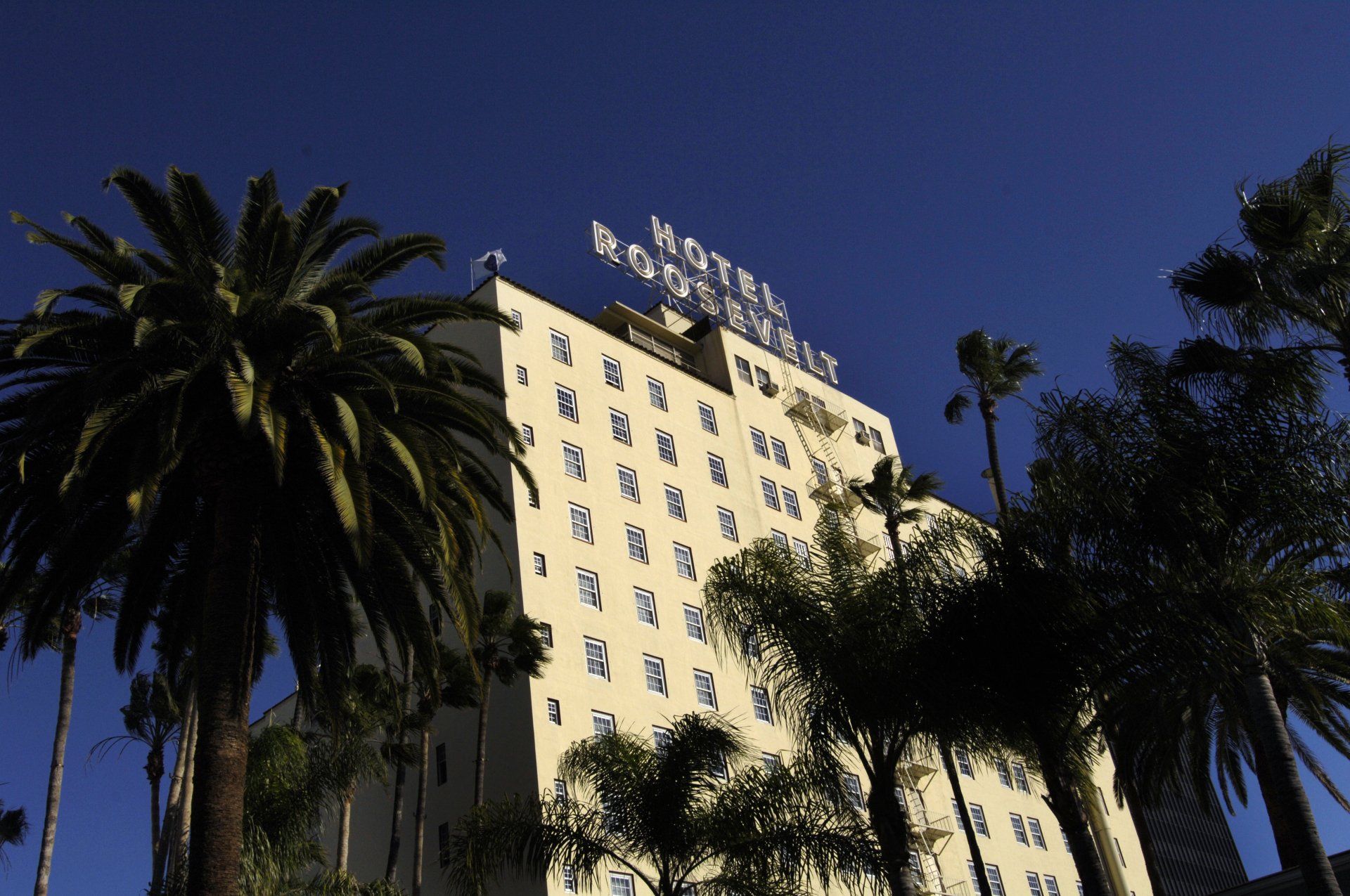 A hotel with palm trees in front of it