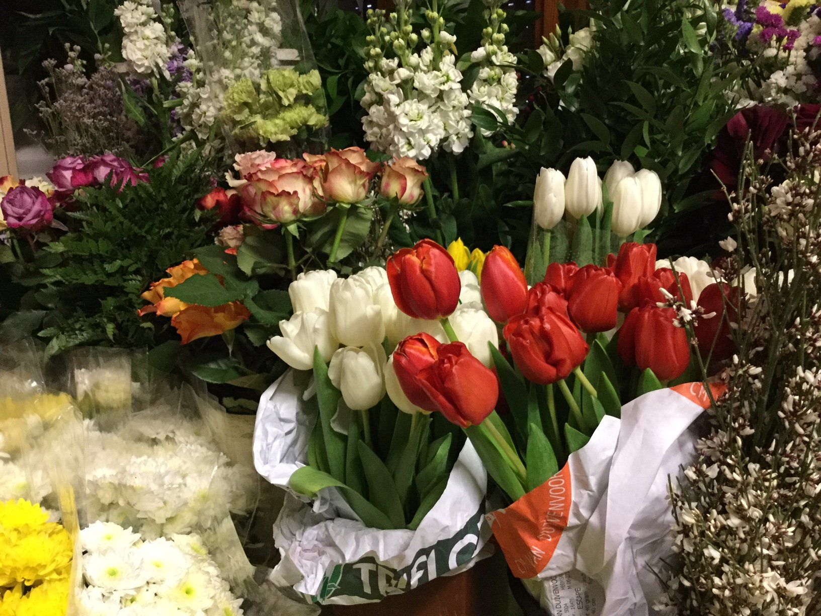 bouquet di tulipani