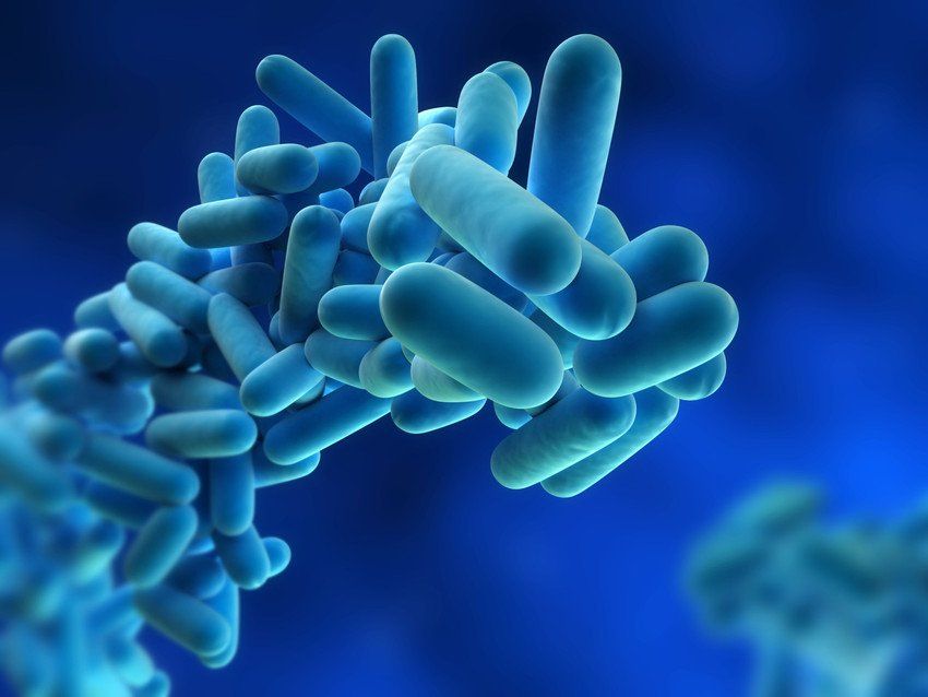 Legionella risk assessments