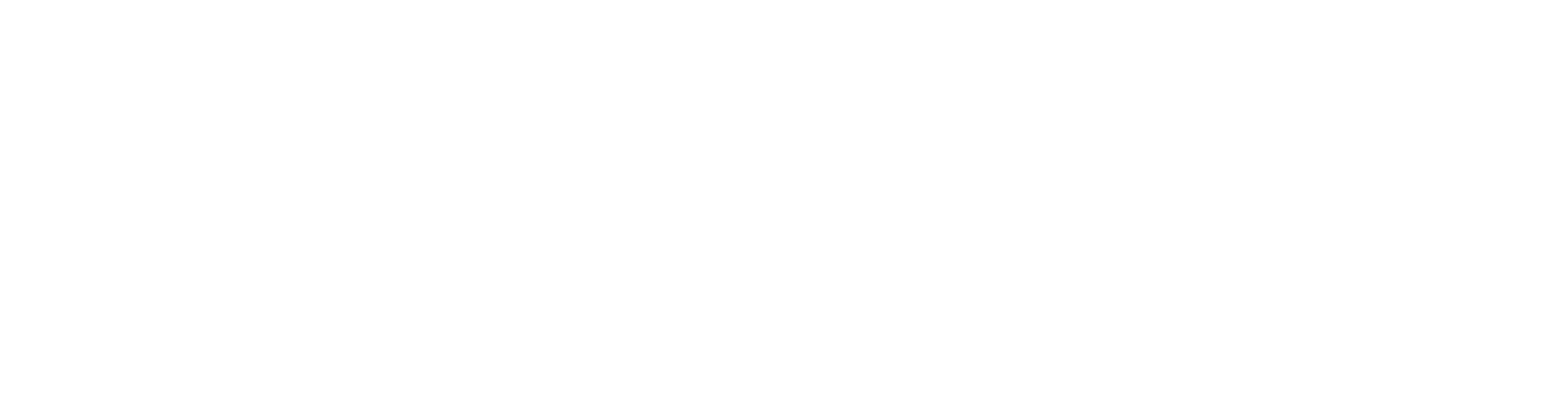 Cannon Chiropractic logo