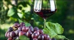 vino prodotti collina vino prodotti collina