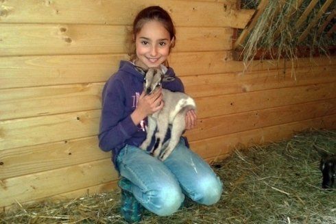 Tanti graziosi animali per conoscere la vita all
