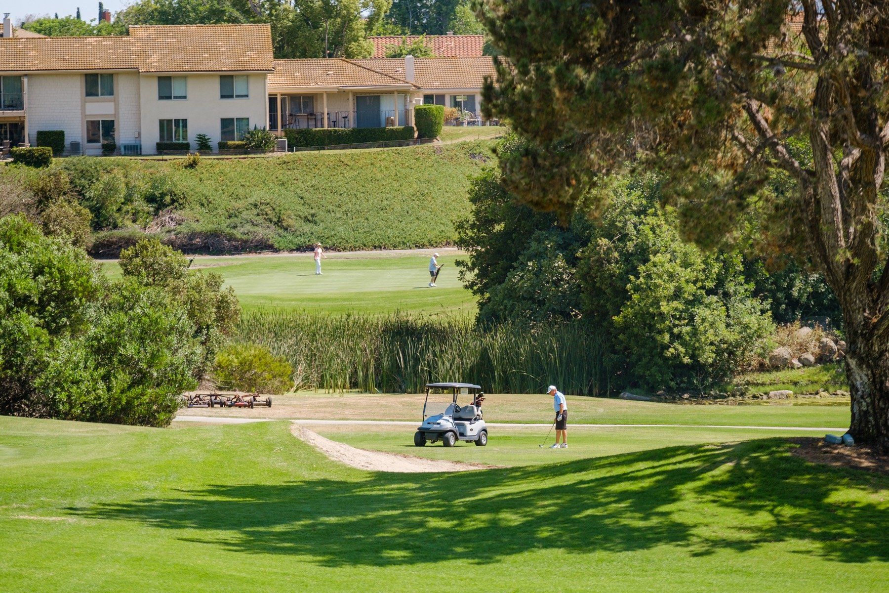 Rancho Bernardo