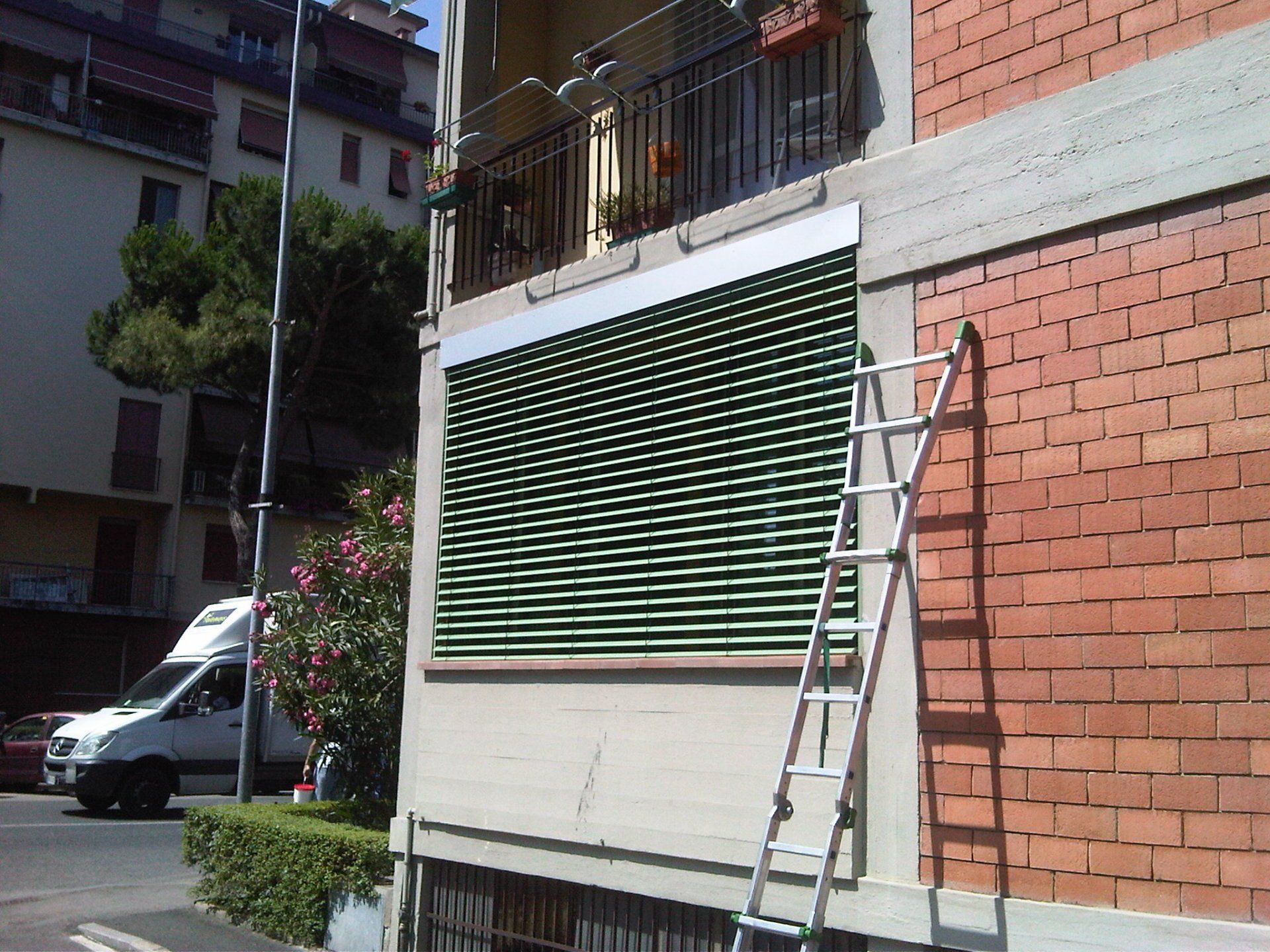 frangi sole verde