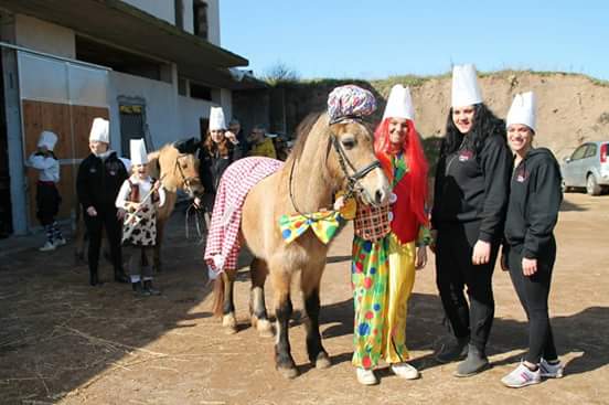 Pony Ciwi