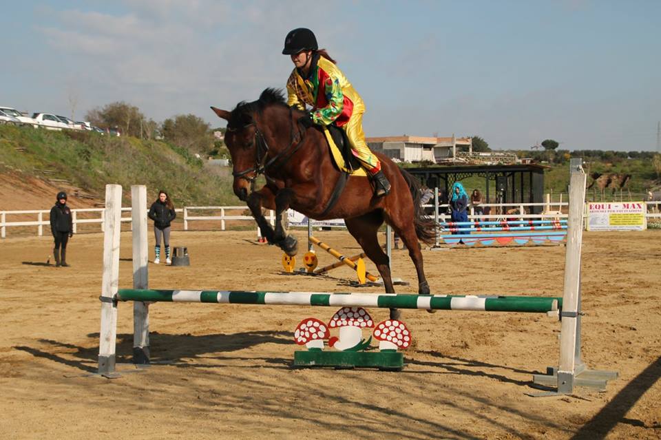 Pony durante salto di ostacoli
