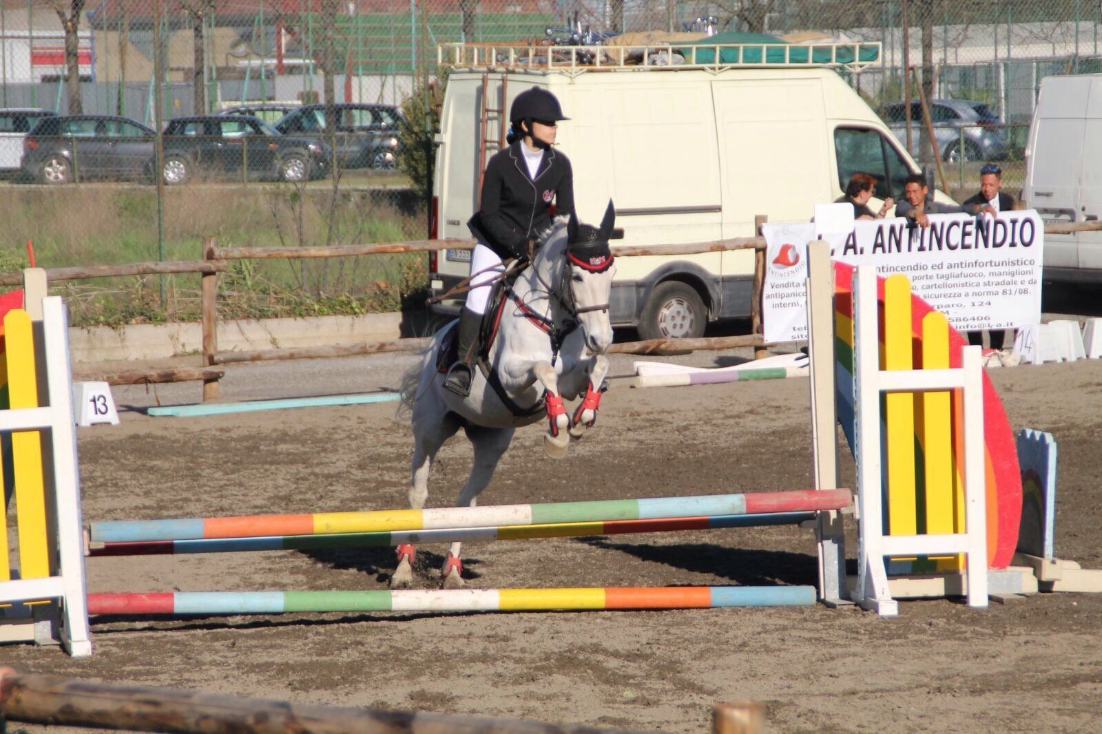 Cavallo Samba