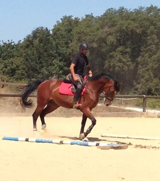 Cavallo Valentino