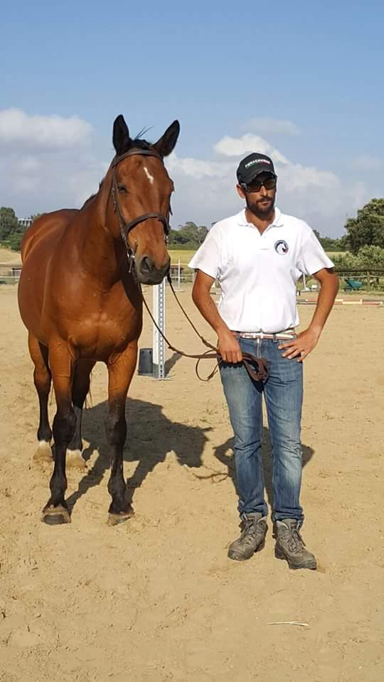 cavallo Necator
