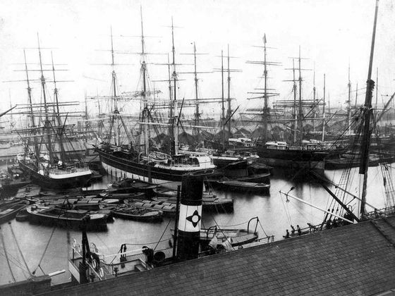 Isle Of Dogs