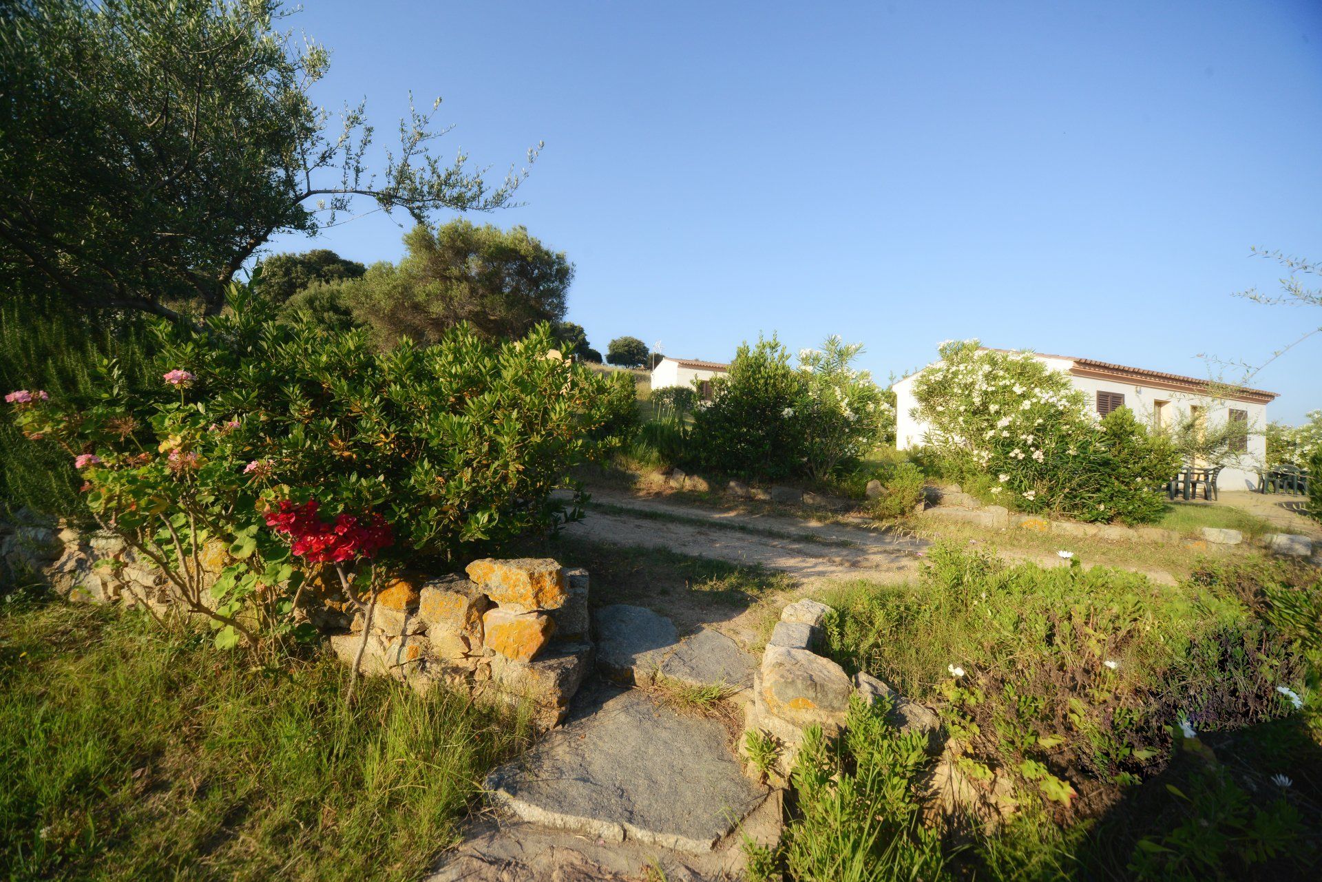 Außenansicht des Bed and Breakfast im Grünen