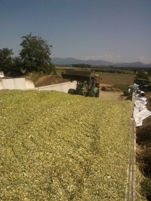 macchina agricola