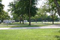 Wooded area at the Valdosta Oaks RV Park.
