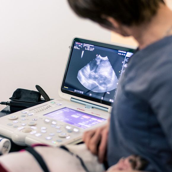 echographie vétérinaire vernon