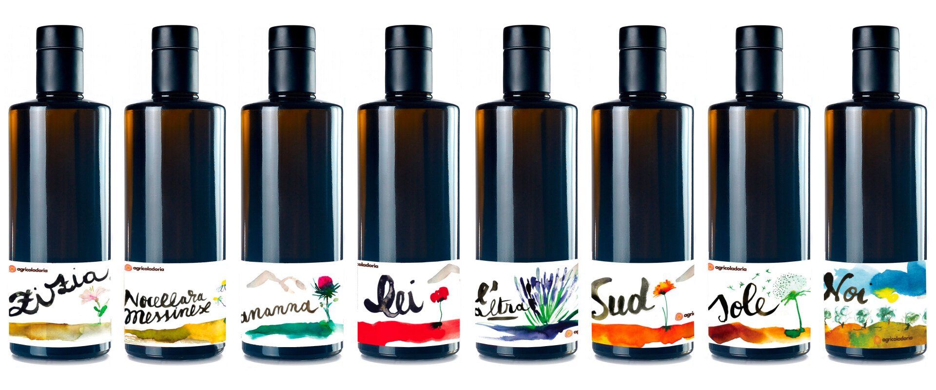 Bottiglie Oli Extravergine di Oliva