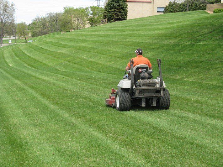 image-1060725-DFS_lawn_maintenance1.jpg