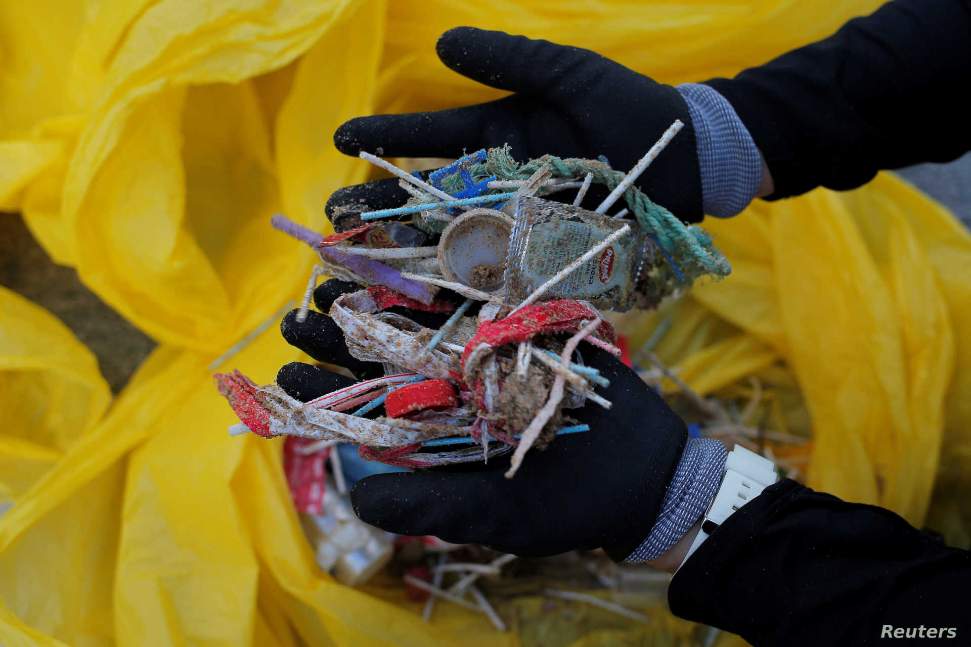 Beach cleanup