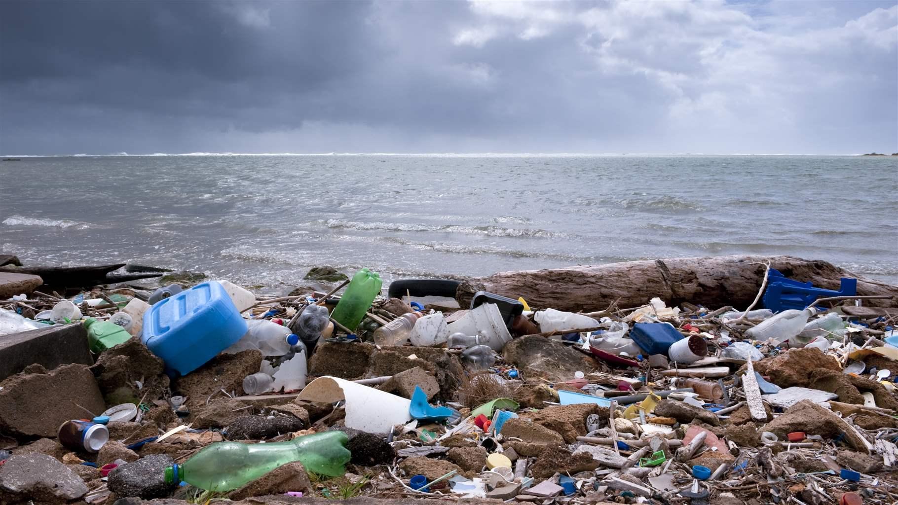 Polluted Shoreline