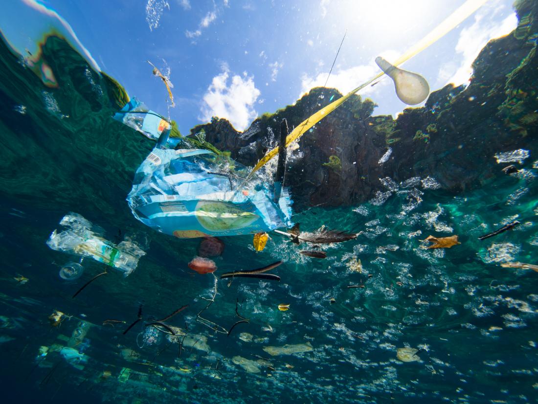 Polluted Oceans