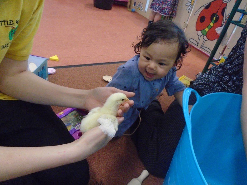 nursery activity example 21