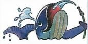whales washing logo