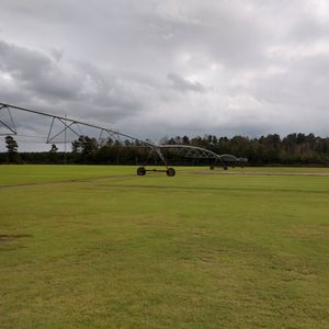 Open Field — Stedman, NC — Horne Turf Farm