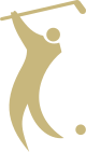 golf icon