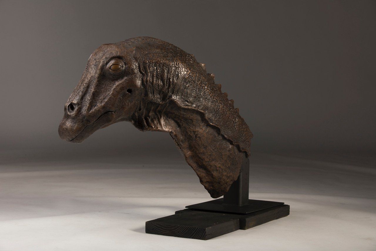 Galeamopus Bust side view of sculpture