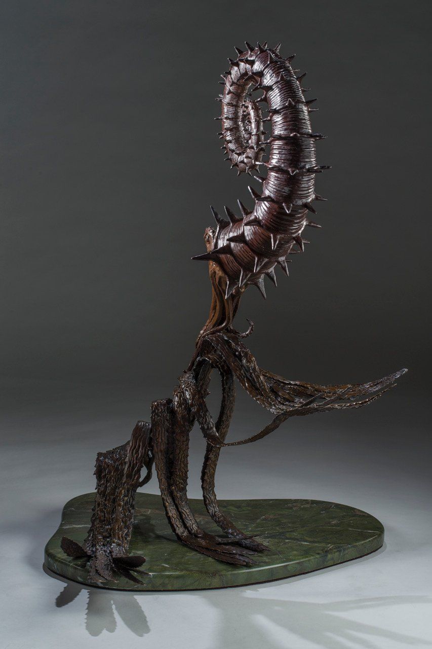 Heteromorphic Ammonites Bronzes