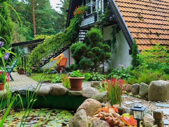 greenery in garden