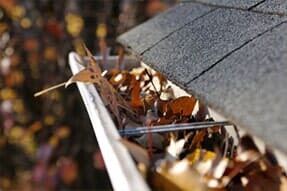 Fall Clean Up Leaves in Gutter - Gutter Cleaning Services in Clifton, NJ Fall Clean Up Leaves in Gutter - Gutter Cleaning Services in Clifton, NJ