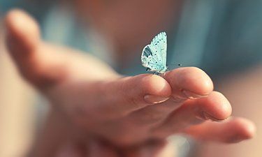 Individual Pet Cremations Hand out holding blue butterfly - Individual Pet Cremations Sunshine Coast