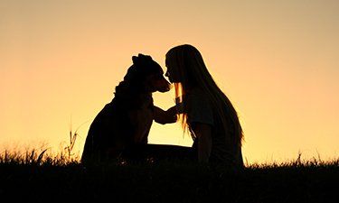 Owner & Pet Silhouette - Pet Cremation in Bells Creek Caloundra, QLD Owner & Pet Silhouette - Pet Cremation in Bells Creek Caloundra, QLD