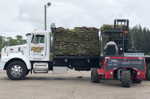 Forklift Unloading Sod — Palm City Sod in Palm City, FL Forklift Unloading Sod — Palm City Sod in Palm City, FL