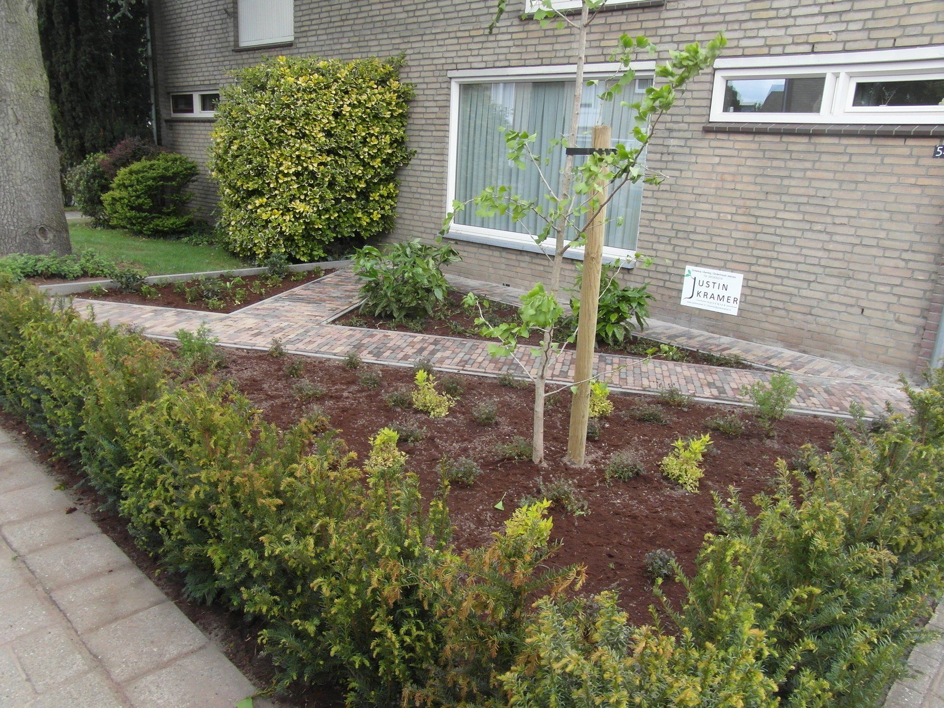Voortuin met een jonge boom, hagen en een bakstenen pad naar het huis, onder bewolkt weer.